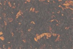 Century Z-50 Black Cordial (4 oz.)