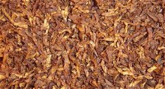 Century Rum & Maple (1.5 oz. Trial)